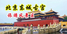 黑人内射日本妞中国北京-东城古宫旅游风景区