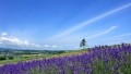扒开小穴网站日本一地6日游  境外旅游 6880元/人